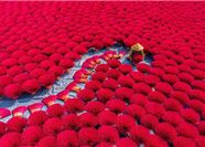 Tour Huế Trong Ngày: Chùa Thiên Mụ - Đại Nội - Chợ Đông Ba - Lăng Khải Định