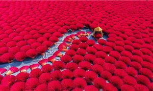 Làng hương Huế.