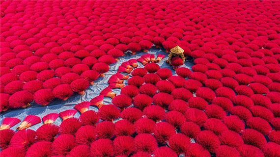 Làng hương Huế.