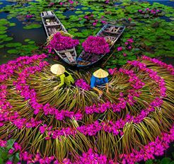 Tour Miền Tây 5N4Đ: Hà Nội - Khám Phá Miền Tây Sông Nước - Tây Ninh - Sài Gòn