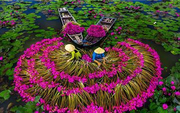 Tour Miền Tây 5N4Đ: Hà Nội - Khám Phá Miền Tây Sông Nước - Tây Ninh - Sài Gòn