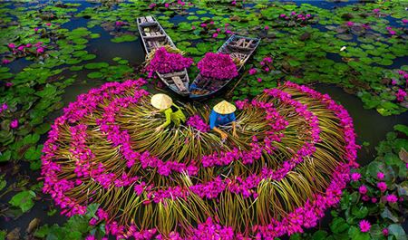 Tour Miền Tây 5N4Đ: Hà Nội - Khám Phá Miền Tây Sông Nước - Tây Ninh - Sài Gòn