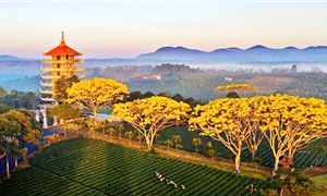 Tu Viện Bát Nhã (Bảo Lộc).