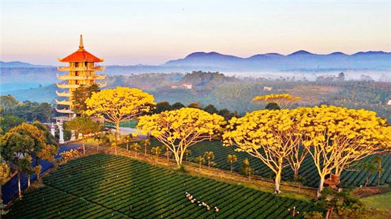 Tu Viện Bát Nhã (Bảo Lộc).