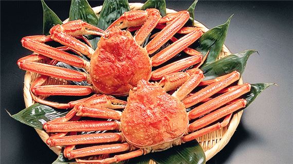 Cua Tuyết Nhật Bản