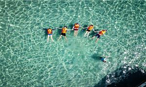 ivivu-bai-cay-me.gif