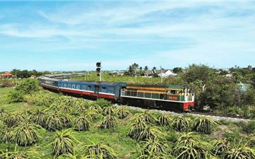 Tour Xe Lửa Cao Cấp Nha Trang 3N4Đ: Du Thuyền Đế Vương Trên Vịnh - City Tour