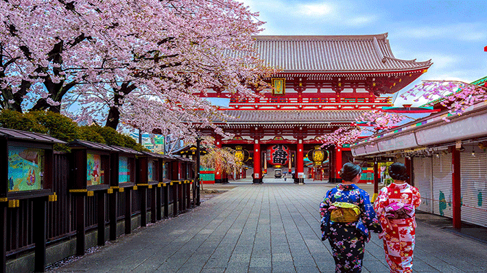 ●	Chùa Asakusa Kannon