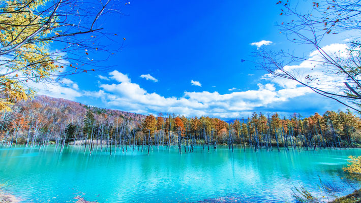 Nhật Bản 6N5Đ: Hà Nội – Khám Phá Hokkaido Mùa Thu