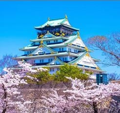 Tour Nhật Bản 5N5Đ: HCM - Tokyo - Nagoya - Kyoto - Osaka Hoa Anh Đào