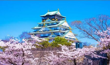 Tour Nhật Bản 5N5Đ: HCM - Tokyo - Nagoya - Kyoto - Osaka Hoa Anh Đào