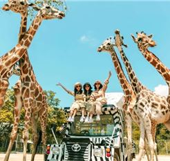 Tour Thái Lan 5N4Đ: Bangkok - Pattaya - Safari World - Lâu Đài Tỷ Phú (Bay VNA)