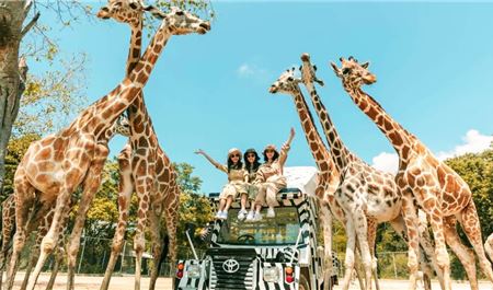 Tour Thái Lan 5N4Đ: Bangkok - Pattaya - Safari World - Lâu Đài Tỷ Phú (Bay VNA)