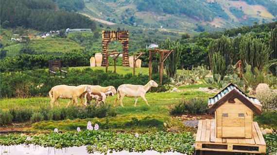 Khung cảnh thơ mộng trong Mongo Land.