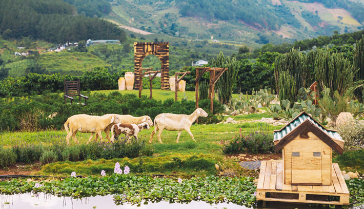 Khung cảnh thơ mộng trong Mongo Land.