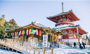 Chùa Naritasan Shinshoji