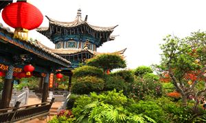 Vườn Hoa Chu Gia