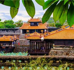 Tour Huế Nửa Ngày: Khám Phá Lăng Tự Đức - Đấu Trường Hổ Quyền - Làng Thủy Biều