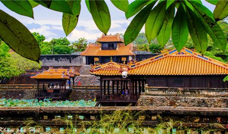 Tour Huế Nửa Ngày: Khám Phá Lăng Tự Đức - Đấu Trường Hổ Quyền - Làng Thủy Biều