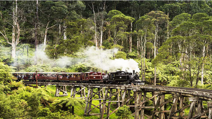 Xe lửa hơi nước - Puffing Billy.
