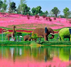 Tour Trung Quốc Đường Bộ 4N3Đ: Lào Cai - Hà Khẩu - Bình Biên - Khai Viễn - Mông Tự