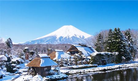 Tour Tết Nhật Bản 4N4Đ: Khám Phá Tokyo - Phú Sỹ - Yamanashi (Visa Đơn Giản)