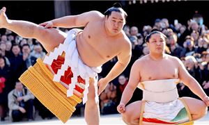 Show Sumo