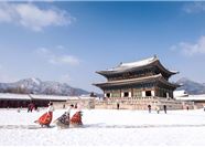 Tour Hàn Quốc 5N4Đ: HCM Seoul - Đảo Nami - Công Viên Everland - Trượt Tuyết Elysian