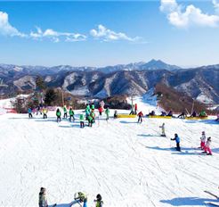 Tour Hàn Quốc 6N5Đ: Hà Nội - Busan - Seoul - Trượt Tuyết - Incheon