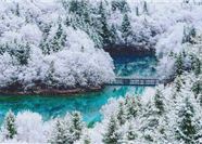 Tour Trung Quốc 6N5Đ: HCM - Thành Đô - Công Viên Gấu Trúc - Cửu Trại Câu - Tất Bằng Câu