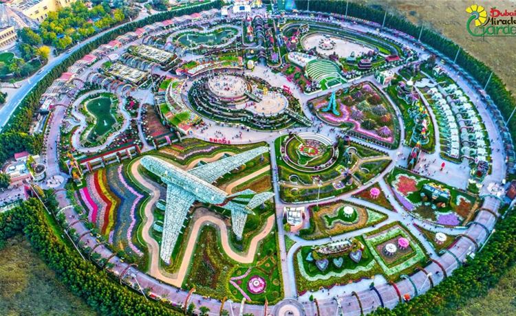 Vườn Hoa Miracle Garden.