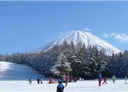 Tour Tết Nhật Bản 6N5Đ: Hà Nội - Osaka - Kyoto - Nagoya - Phú Sĩ - Tokyo