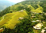 Tour Miền Bắc 3N2Đ: Hà Nội - Hoàng Su Phì - Chiêu Lầu Thi - Cốc Pài - Bắc Hà