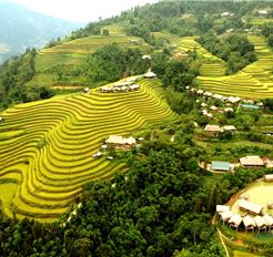 Tour Miền Bắc 3N2Đ: Hà Nội - Hoàng Su Phì - Chiêu Lầu Thi - Cốc Pài - Bắc Hà