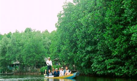 Tour Cần Giờ Trong Ngày: TP.HCM - Hành Trình Khám Phá Rừng Sác và Đảo Khỉ