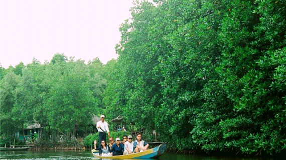 Khám phá hệ sinh thái Cần Giờ