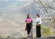 Tour Điện Biên 3N2Đ: Hà Nội - Văn hóa Thái - Suối khoáng Uva