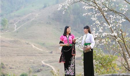 Tour Điện Biên 3N2Đ: Hà Nội - Văn hóa Thái - Suối khoáng Uva