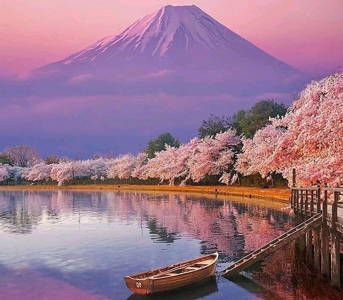 Quan cảnh hồ Kawaguchiko bên cạnh núi Phú Sĩ.