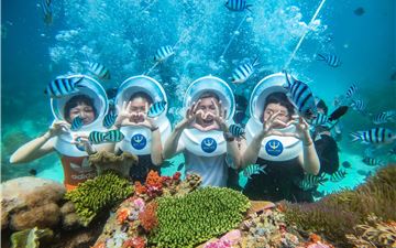 Tour Nha Trang Trong Ngày: Trải Nghiệm Đi Bộ Dưới Đáy Biển