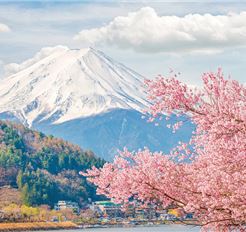 Tour Nhật Bản 5N4Đ: Tokyo - Yamanashi - Fuji - Narita (Visa Đơn Giản)