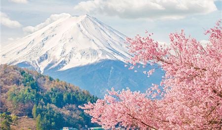 Tour Nhật Bản 5N4Đ: Tokyo - Yamanashi - Fuji - Narita (Visa Đơn Giản)