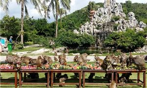 ivivu-dao-khi-vinh-nha-phu-nha-trang.jpg
