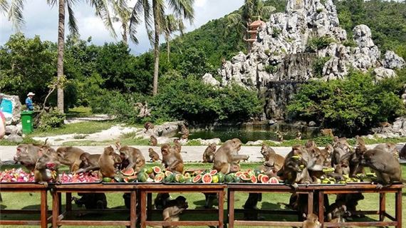 ivivu-dao-khi-vinh-nha-phu-nha-trang.jpg