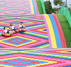 Tour Đà Lạt Trong Ngày: Checkin Các Điểm Nổi Bật