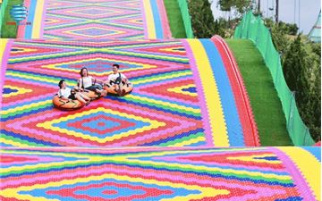 Tour Đà Lạt Trong Ngày: Checkin Các Điểm Nổi Bật