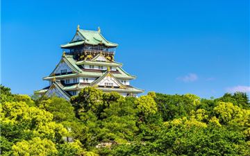 Tour Nhật Bản 6N5Đ: Tokyo - Fuji - Nagoya - Kyoto - Osaka Mùa Hè