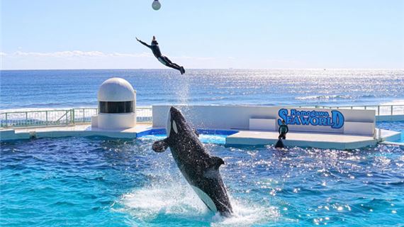 Kamogawa Sea World