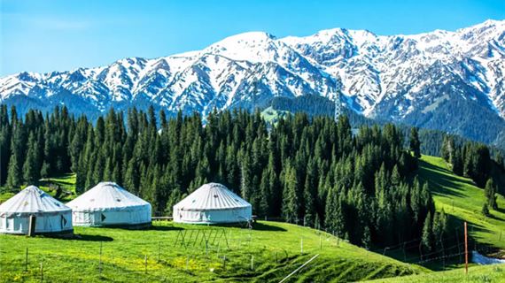 Khung cảnh thảo nguyên xanh mướt ở Tân Cương.