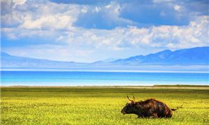 Hồ Sailimu (Sayram Lake).